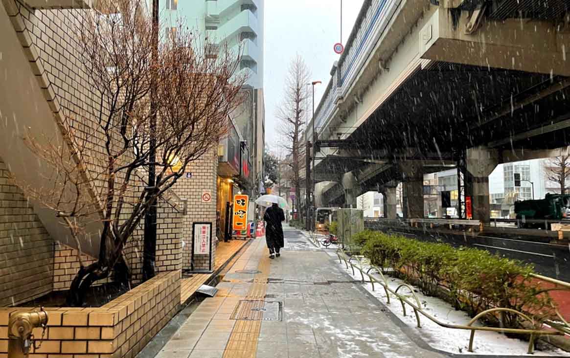 Tokyo Travel Safety and Precautions: A Comprehensive Guide